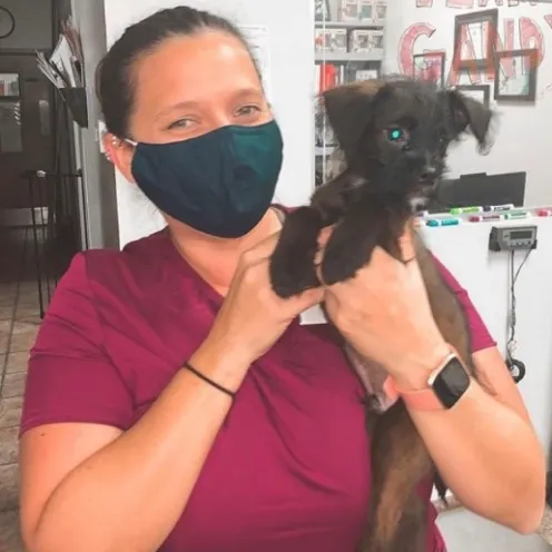 Gandy Animal Hospital Vet Tech with Puppy